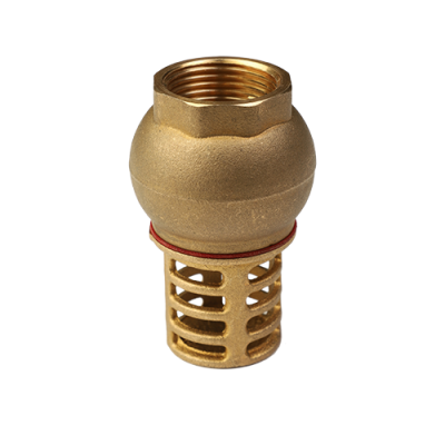 Клапан обратный донный MVI 1"